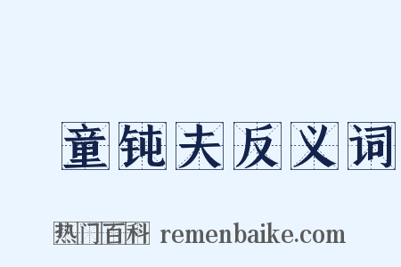 騃童钝夫反义词是什么意思的图片